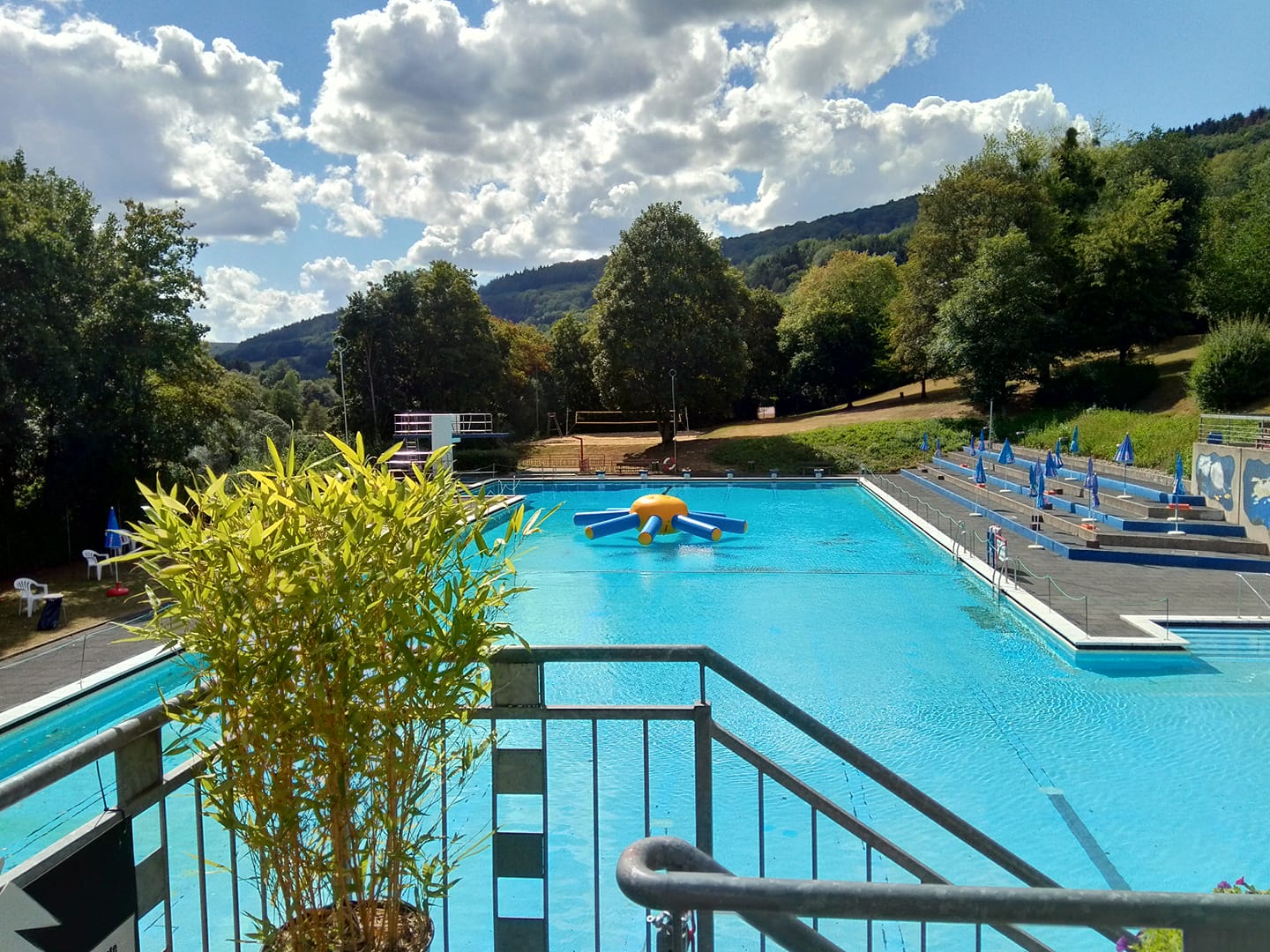 restaurant bollendorf